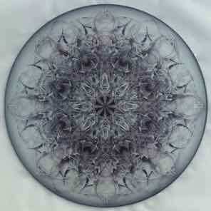12 INCH ROUND GLASS
TRIVET
SILVER LACE 1